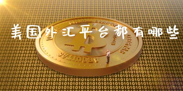 美国外汇平台都有哪些_https://m.lcpcjs.com_期货交易_第1张