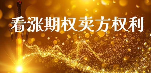 看涨期权卖方权利_https://m.lcpcjs.com_恒指期货保证金_第1张
