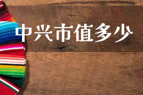 中兴市值多少_https://m.lcpcjs.com_期货交易时间_第1张