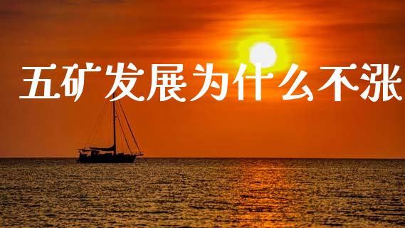 五矿发展为什么不涨_https://m.lcpcjs.com_白银期货保证金_第1张