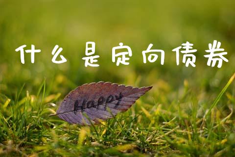 什么是定向债券_https://m.lcpcjs.com_白银期货保证金_第1张