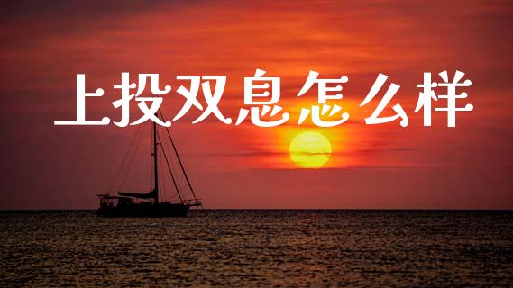 上投双息怎么样_https://m.lcpcjs.com_期货交易_第1张
