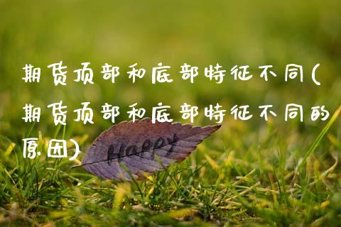 期货顶部和底部特征不同(期货顶部和底部特征不同的原因)_https://m.lcpcjs.com_期货交易_第1张