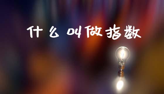 什么叫做指数_https://m.lcpcjs.com_期货交易_第1张