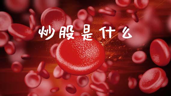 炒股是什么_https://m.lcpcjs.com_期货交易_第1张