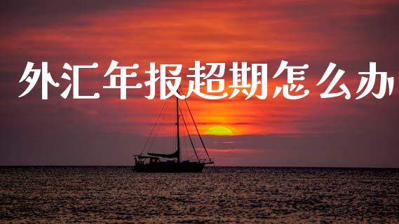 外汇年报超期怎么办_https://m.lcpcjs.com_期货交易_第1张