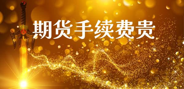 期货手续费贵_https://m.lcpcjs.com_白银期货保证金_第1张