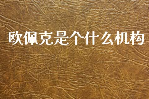 欧佩克是个什么机构_https://m.lcpcjs.com_恒指期货保证金_第1张