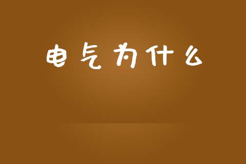 电气为什么_https://m.lcpcjs.com_期货交易_第1张