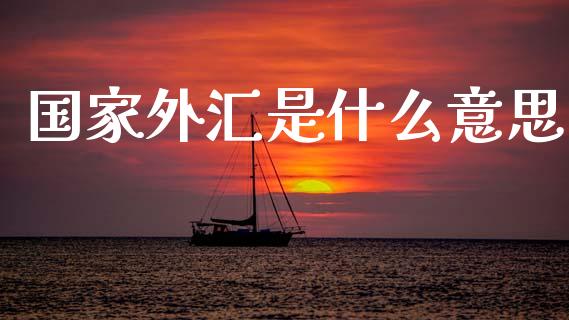国家外汇是什么意思_https://m.lcpcjs.com_白银期货保证金_第1张
