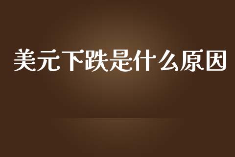 美元下跌是什么原因_https://m.lcpcjs.com_期货交易_第1张