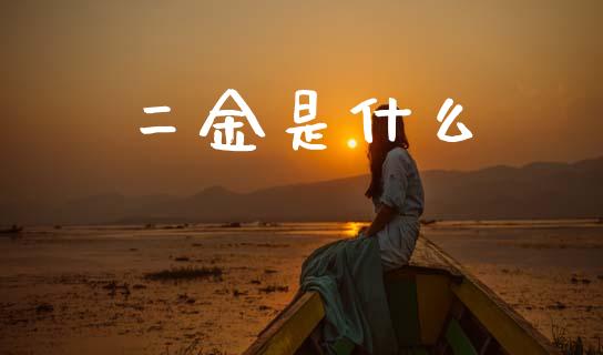 二金是什么_https://m.lcpcjs.com_期货交易_第1张
