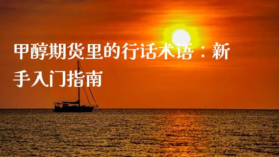甲醇期货里的行话术语：新手入门指南_https://m.lcpcjs.com_期货交易_第1张