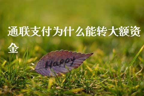 通联支付为什么能转大额资金_https://m.lcpcjs.com_期货交易时间_第1张