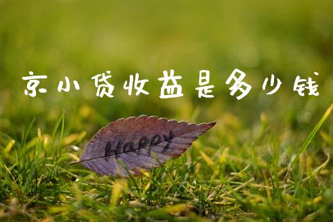 京小贷收益是多少钱_https://m.lcpcjs.com_白银期货保证金_第1张