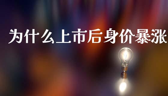 为什么上市后身价暴涨_https://m.lcpcjs.com_期货交易时间_第1张