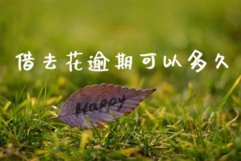 借去花逾期可以多久_https://m.lcpcjs.com_期货交易_第1张