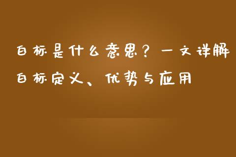 白标是什么意思？一文详解白标定义、优势与应用_https://m.lcpcjs.com_期货交易时间_第1张