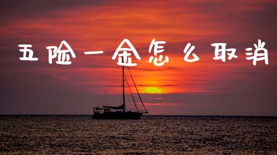 五险一金怎么取消_https://m.lcpcjs.com_期货交易时间_第1张