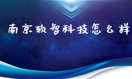 南京软智科技怎么样_https://m.lcpcjs.com_白银期货保证金_第1张