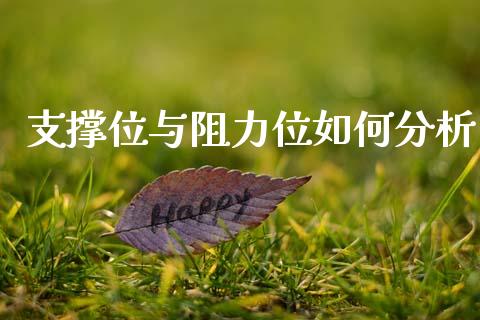 支撑位与阻力位如何分析_https://m.lcpcjs.com_期货交易时间_第1张