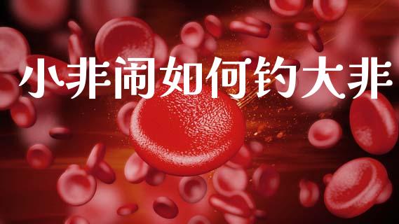小非闹如何钓大非_https://m.lcpcjs.com_白银期货保证金_第1张