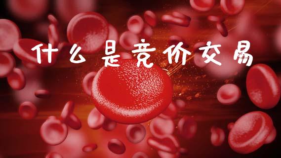 什么是竞价交易_https://m.lcpcjs.com_期货交易时间_第1张