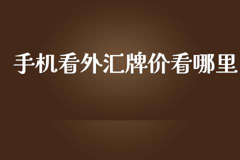手机看外汇牌价看哪里_https://m.lcpcjs.com_白银期货保证金_第1张
