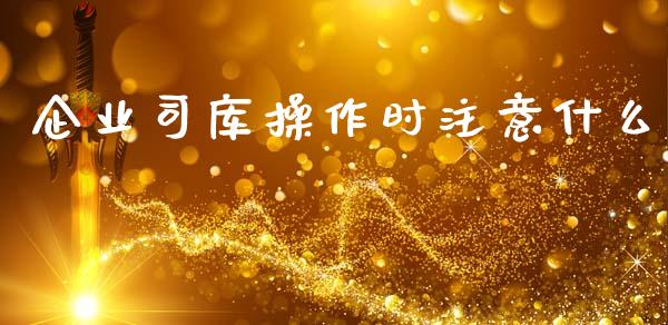 企业司库操作时注意什么_https://m.lcpcjs.com_白银期货保证金_第1张
