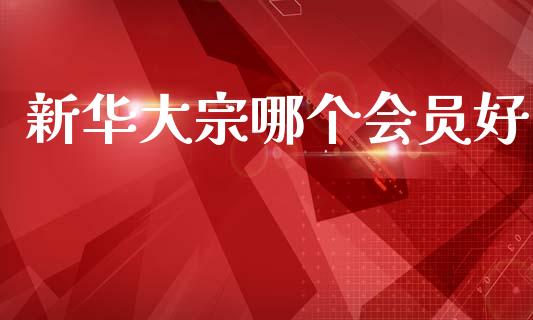 新华大宗哪个会员好_期货交易_第1张_白银期货保证金_期货交易_恒指期货保证金_期货交易时间 新华大宗哪个会员好_https://m.lcpcjs.com_期货交易_第1张