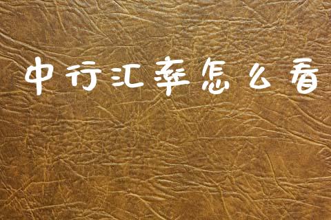 中行汇率怎么看_https://m.lcpcjs.com_恒指期货保证金_第1张