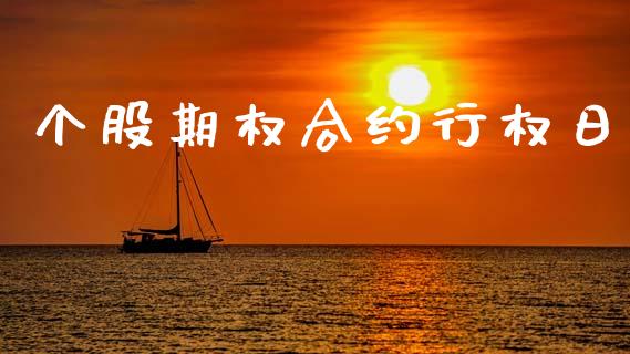 个股期权合约行权日_https://m.lcpcjs.com_白银期货保证金_第1张