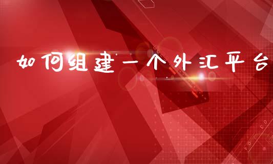如何组建一个外汇平台_https://m.lcpcjs.com_期货交易_第1张