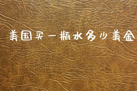 美国买一瓶水多少美金_https://m.lcpcjs.com_恒指期货保证金_第1张