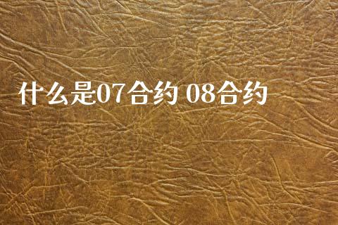 什么是07合约 08合约_https://m.lcpcjs.com_期货交易_第1张