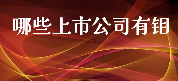 哪些上市公司有钼_https://m.lcpcjs.com_恒指期货保证金_第1张