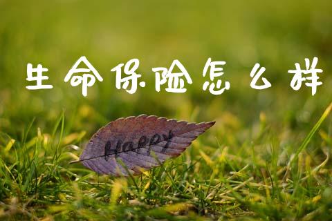 生命保险怎么样_https://m.lcpcjs.com_恒指期货保证金_第1张