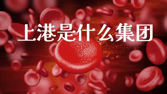 上港是什么集团_https://m.lcpcjs.com_期货交易_第1张