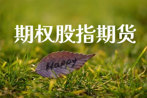 期权股指期货_https://m.lcpcjs.com_期货交易_第1张