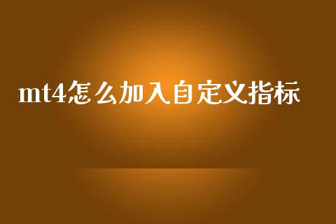 mt4怎么加入自定义指标_https://m.lcpcjs.com_恒指期货保证金_第1张