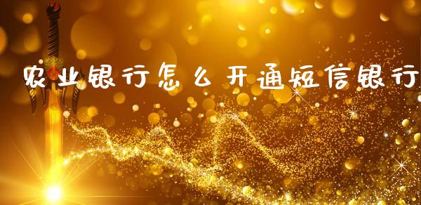 农业银行怎么开通短信银行_https://m.lcpcjs.com_恒指期货保证金_第1张