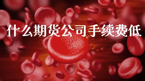 什么期货公司手续费低_https://m.lcpcjs.com_期货交易时间_第1张