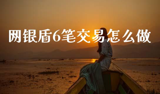 网银盾6笔交易怎么做_https://m.lcpcjs.com_恒指期货保证金_第1张