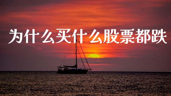 为什么买什么股票都跌_https://m.lcpcjs.com_恒指期货保证金_第1张