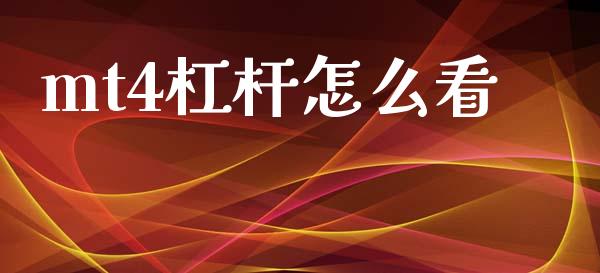mt4杠杆怎么看_https://m.lcpcjs.com_期货交易时间_第1张
