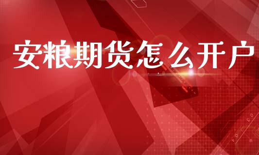 安粮期货怎么开户_https://m.lcpcjs.com_期货交易_第1张