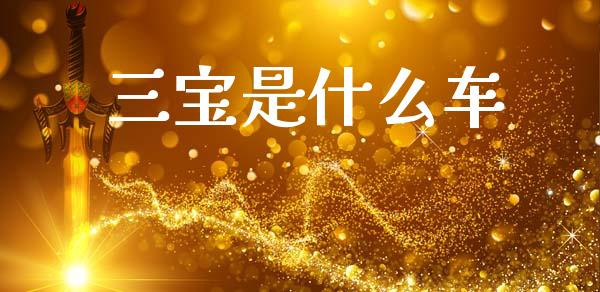 三宝是什么车_https://m.lcpcjs.com_白银期货保证金_第1张