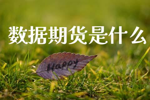 数据期货是什么_https://m.lcpcjs.com_期货交易_第1张