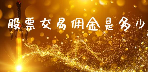 股票交易佣金是多少_https://m.lcpcjs.com_期货交易时间_第1张