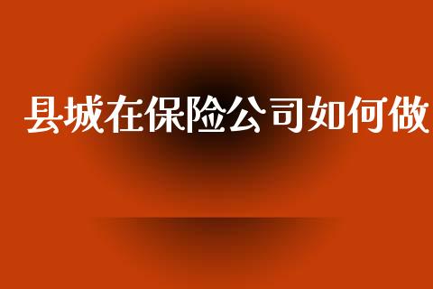 县城在保险公司如何做_https://m.lcpcjs.com_白银期货保证金_第1张